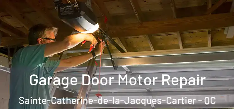  Garage Door Motor Repair Sainte-Catherine-de-la-Jacques-Cartier - QC