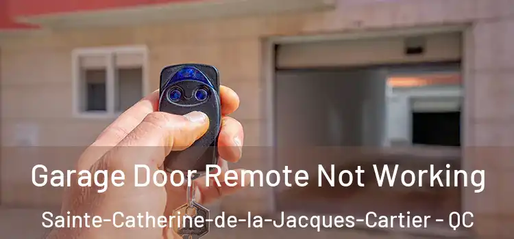  Garage Door Remote Not Working Sainte-Catherine-de-la-Jacques-Cartier - QC