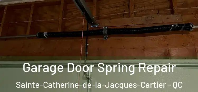  Garage Door Spring Repair Sainte-Catherine-de-la-Jacques-Cartier - QC