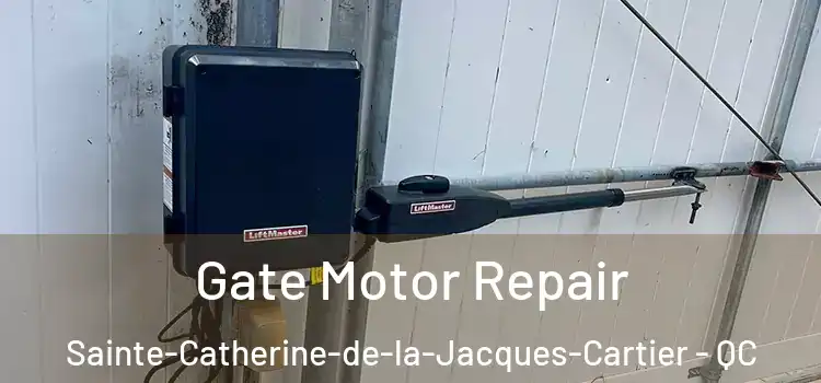  Gate Motor Repair Sainte-Catherine-de-la-Jacques-Cartier - QC