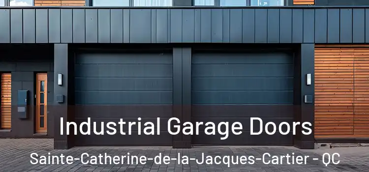  Industrial Garage Doors Sainte-Catherine-de-la-Jacques-Cartier - QC