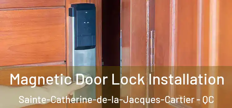  Magnetic Door Lock Installation Sainte-Catherine-de-la-Jacques-Cartier - QC