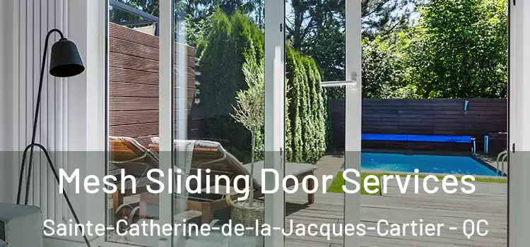 Mesh Sliding Door Services Sainte-Catherine-de-la-Jacques-Cartier - QC